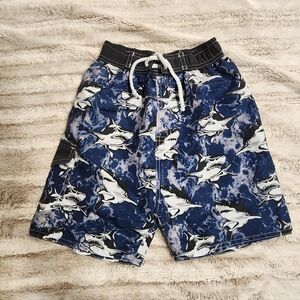Boys Swim Trunks